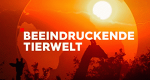 Beeindruckende Tierwelt