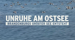 Brandenburgs größter See entsteht