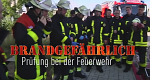 Brandgefährlich, heiß begehrt