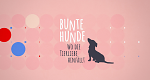 Bunte Hunde - Wo die Tierliebe hinfällt