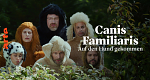 Canis Familiaris - Auf den Hund gekommen (F, 2022 – )