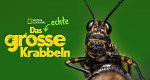 Das echte große Krabbeln