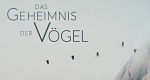 Das Geheimnis der Vögel (D, 2021 – )