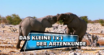 Das kleine 1x1 der Artenkunde