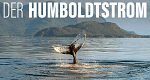Der Humboldtstrom (D/USA/F/RCH, 2021 – )