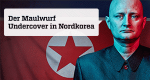 Der Maulwurf - Undercover in Nordkorea