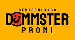 Deutschlands dümmster Promi (D, 2025 – )