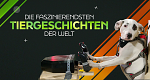 Die faszinierendsten Tiergeschichten der Welt (D, 2021 – )