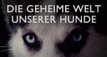 Die geheime Welt unserer Hunde