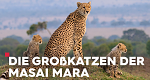 Die Großkatzen der Masai Mara (F, 2020 – )