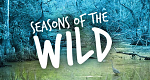 Die Jahreszeiten in der Wildnis