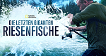 Die letzten Giganten: Riesenfische