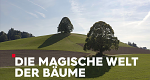 Die magische Welt der Bäume (D, 2021 – )