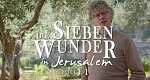 Die sieben Wunder in Jerusalem (D, 2017 – )