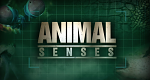Die Sinne der Tiere (CDN, 2017 – )