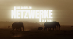 Die sozialen Netzwerke der Tiere