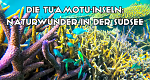 Die Tuamotu-Inseln: Naturwunder in der Südsee