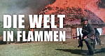 Die Welt in Flammen