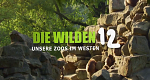 Die wilden 12