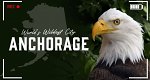 Die wildeste Stadt der Welt: Anchorage