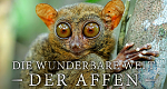 Die wunderbare Welt der Affen (A, 2014 – )
