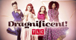 Dragnificent! – Entdecke die Queen in dir (USA, 2020 – )