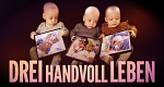 Drei Handvoll Leben