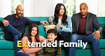 Extended Family (USA, 2023 – )