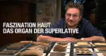Faszination Haut