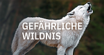 Gefährliche Wildnis