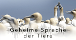 Geheime Sprache der Tiere (GB/CDN, 2018 – )