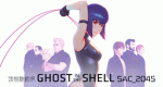 Ghost in the Shell: SAC_2045