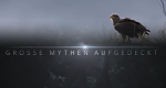 Große Mythen aufgedeckt