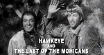 Hawkeye and the Last of the Mohicans (USA, 1957 – )