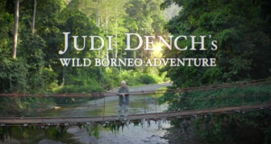 Abenteuer Borneo mit Judi Dench