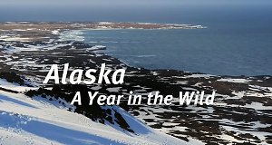 Alaska: Ein Jahr in der Wildnis