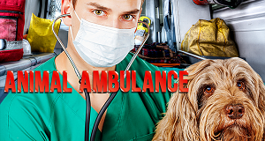 Animal Ambulance - Haustiere in Not