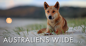 Australiens wilde ...