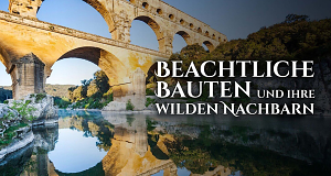 Beachtliche Bauten und ihre wilden Nachbarn