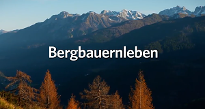 Bergbauernleben