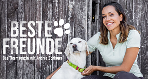 Beste Freunde - Das Tiermagazin