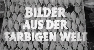 Bilder aus der farbigen Welt