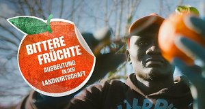 Bittere Früchte - Ausbeutung auf Europas Feldern