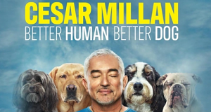 Cesar Millan: Guter Mensch, guter Hund