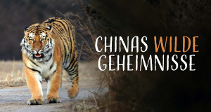 Chinas wilde Geheimnisse
