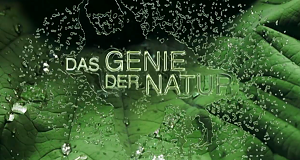 Das Genie der Natur