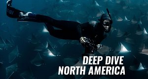 Deep Dive North America