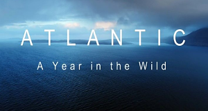 Der Atlantik: Ein Jahr in der Wildnis