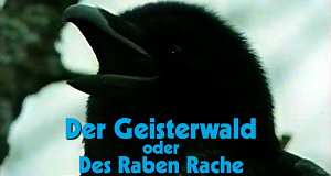 Der Geisterwald