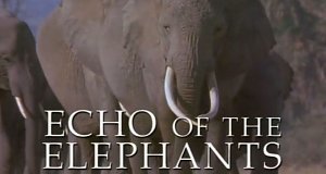 Die Dynastie der Elefanten